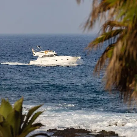 El Faro * 滨海帕尔姆